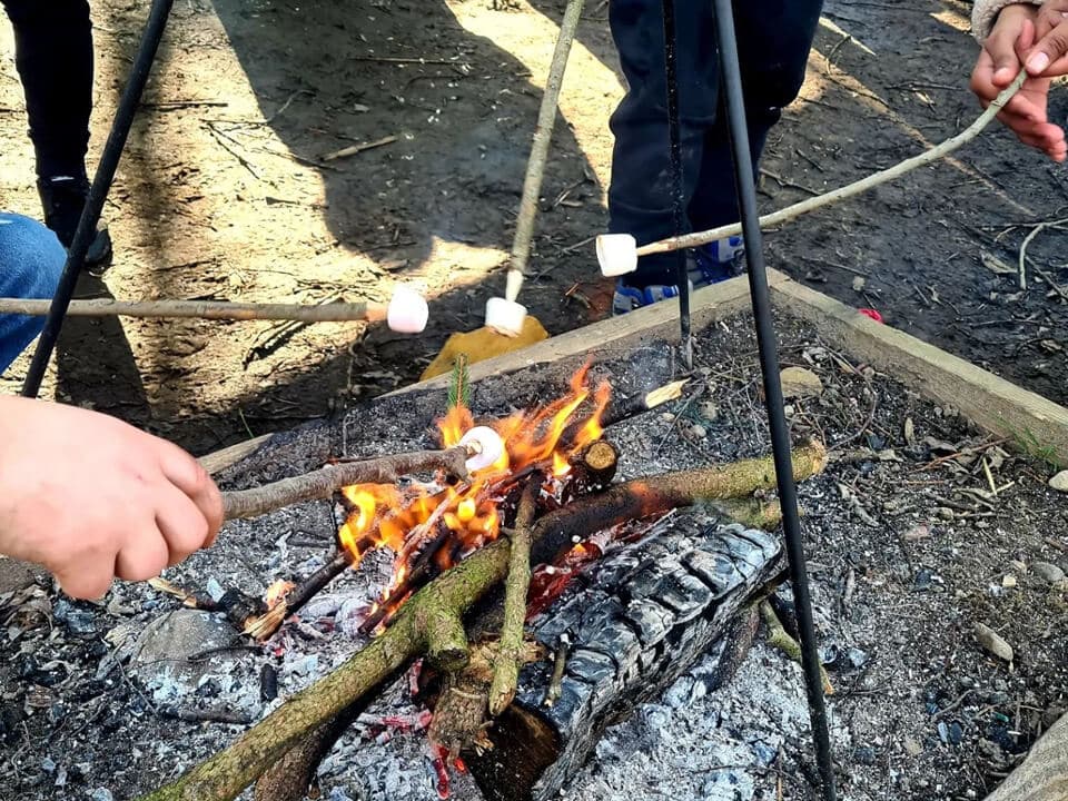 Children roasting marshmallows over open campfire